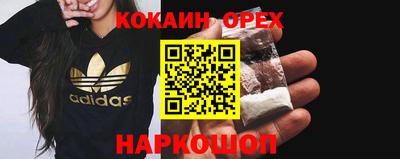 крисы Кулебаки
