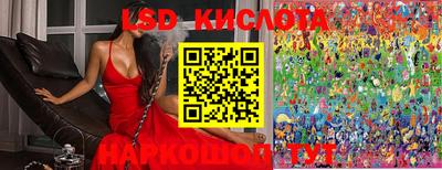 крисы Кулебаки