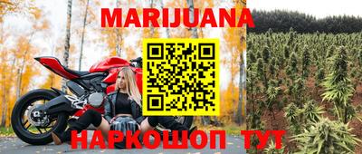 крисы Кулебаки