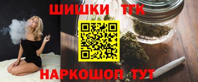 крисы Кулебаки