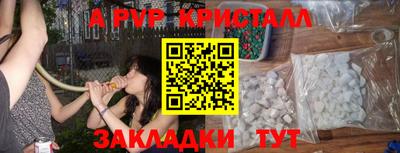 крисы Кулебаки