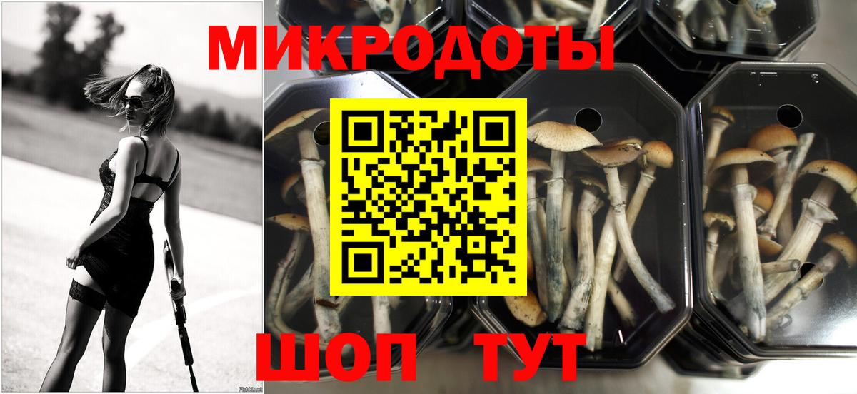 магазин  наркотиков  Галлюциногенные грибы MAGIC MUSHROOMS  Вход с VPN  Рыбинск  Галлюциногенные грибы MAGIC MUSHROOMS 